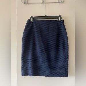 Banana Republic Navy Pencil Skirt